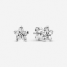 Clous d'Oreilles Flocon de Neige Scintillant